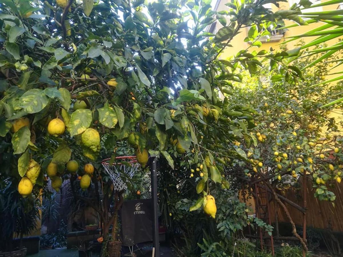 Apartment La Limonaia Di Chiaia Naples