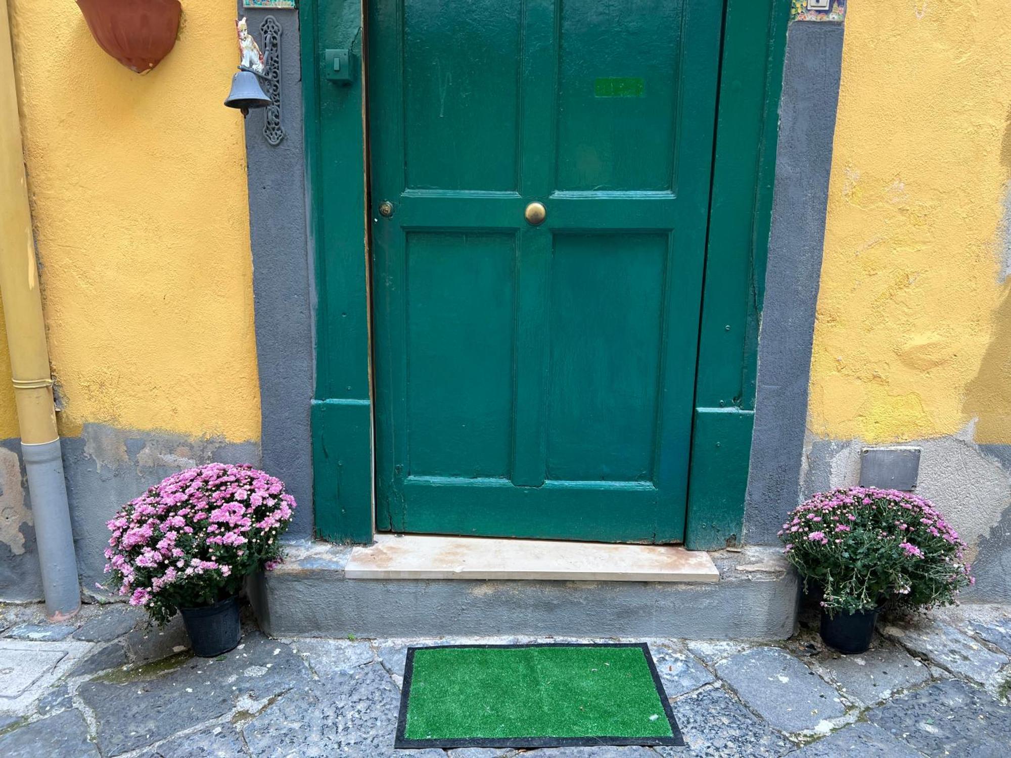 La Limonaia Di Chiaia Apartment