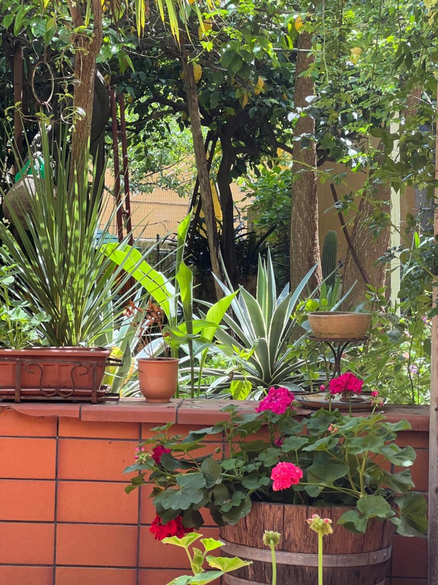 Apartment La Limonaia Di Chiaia Naples
